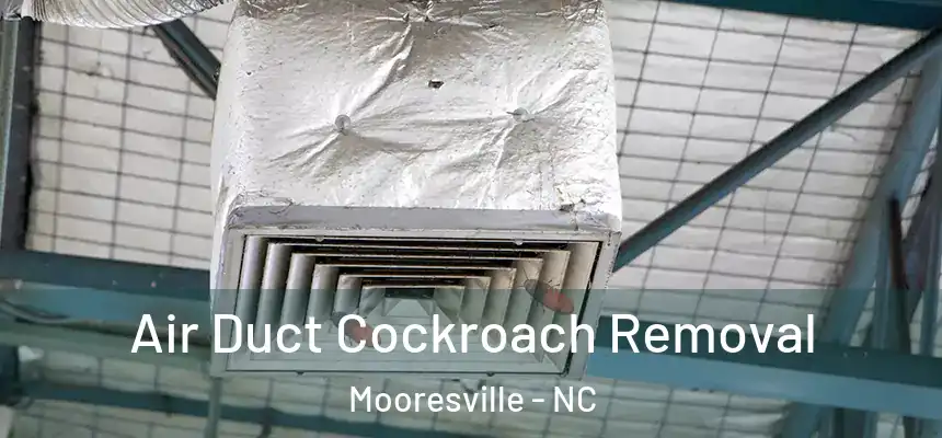Air Duct Cockroach Removal Mooresville - NC