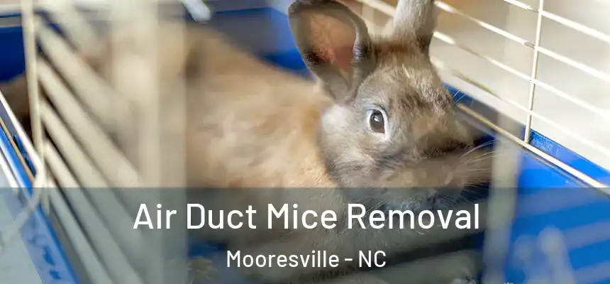  Air Duct Mice Removal Mooresville - NC