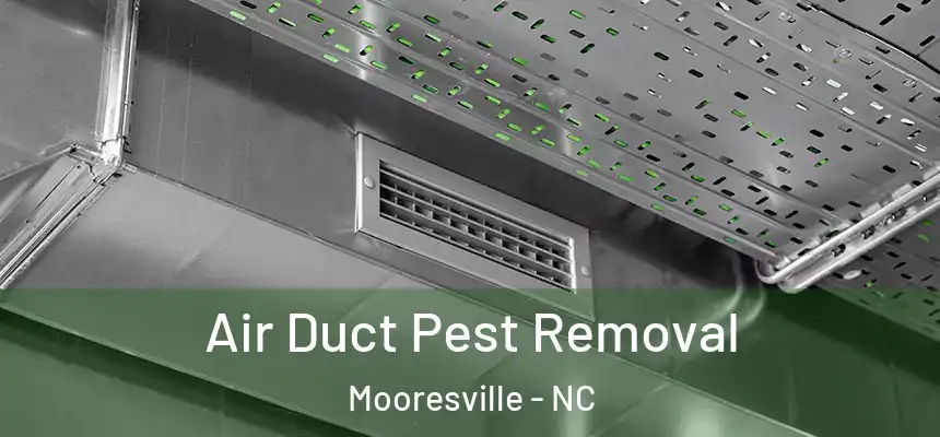  Air Duct Pest Removal Mooresville - NC