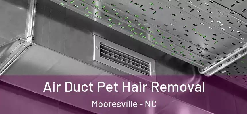 Air Duct Pet Hair Removal Mooresville - NC