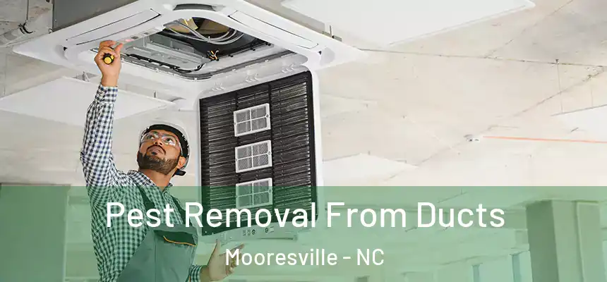  Pest Removal From Ducts Mooresville - NC