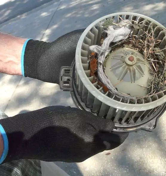 About Air Duct Rat Removal in Mooresville, NC