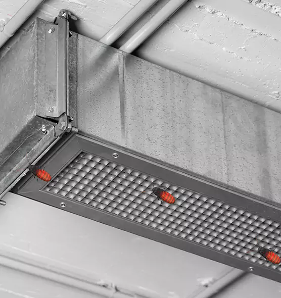 Affordable Insect Removal from Air Ducts in Mooresville, NC