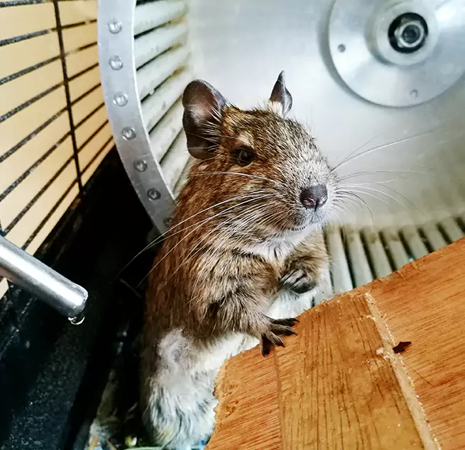 Why Homeowners & Businesses Trust Us Mooresville, NC?