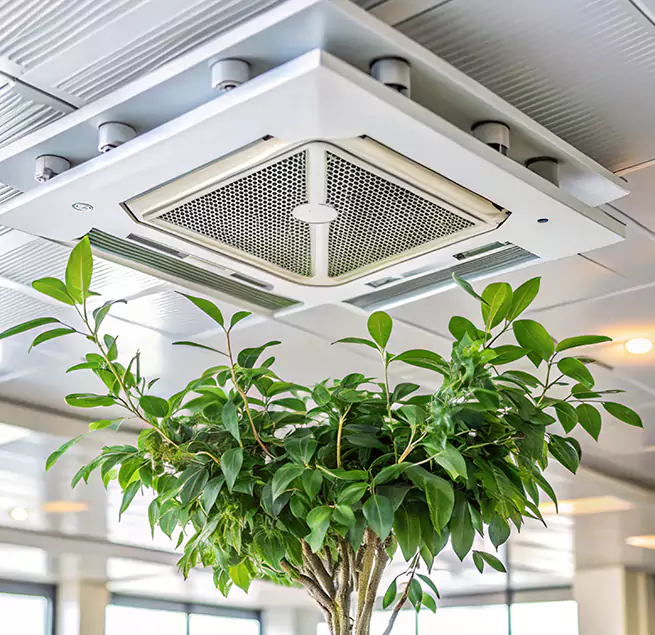 Why Homeowners & Businesses Trust Us in Mooresville, NC?